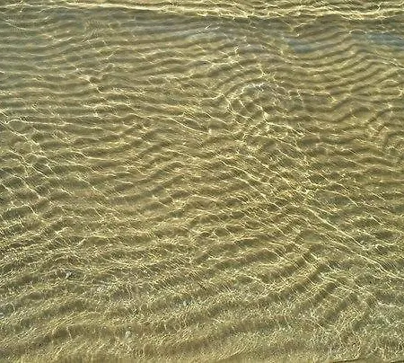 Del Gelsomino